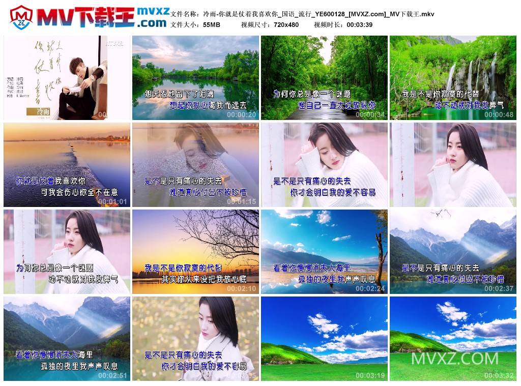 冷雨-你就是仗着我喜欢你_国语_流行_YE600128